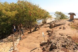 Pyramids Archaeological Site HT - Your 9:00 AM plan: how the half-day visit unfolds
