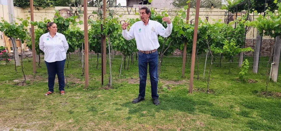 Querétaro: Bernal & Tequisquiapan Trip with Wine & Cheese - Private-group pacing: guides, van ride time, and comfort details