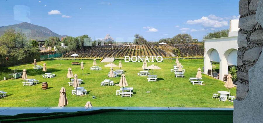 Querétaro: Bernal & Tequisquiapan Trip with Wine & Cheese - Who should book this wine-and-cheese Querétaro day trip?