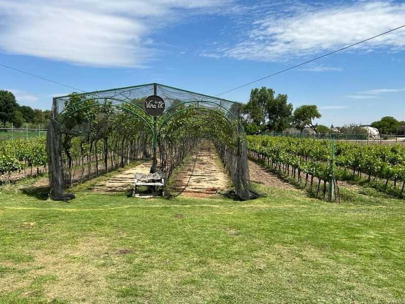 Querétaro: Cheese & Wine Tour In A Day - What to bring for a comfortable wine-and-sightseeing day