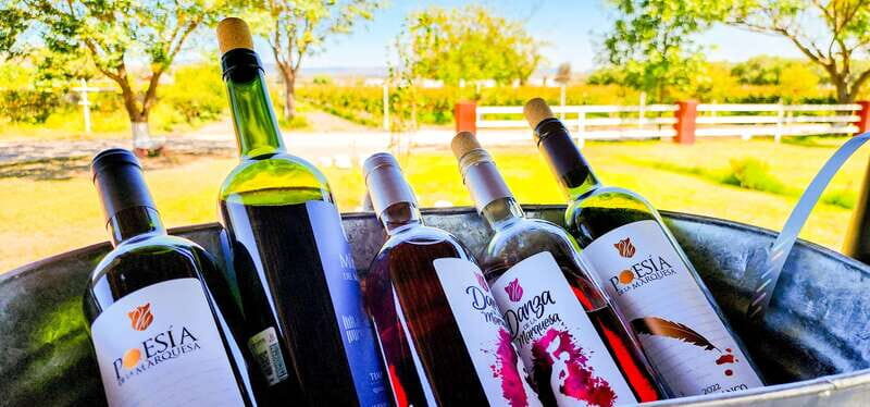 Querétaro: Haciendas, Vineyards, and Magical Towns Day Trip - Price and Value: What You’re Really Paying For
