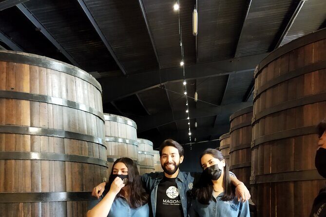 Quiero mas vino, valle de Guadalupe Tours - Casta de Vinos and the Underground Cellar Experience
