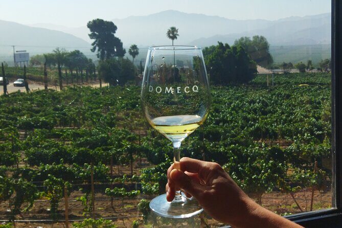 Quiero mas vino, valle de Guadalupe Tours - Included Wine, Water, and the Real Value Math