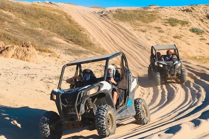 Race the Baja 1000 — Migriño Desert & Beach Off‑Road Adventure - Stop 1: Baja California Sur Quick Scenery and Cactus Moments