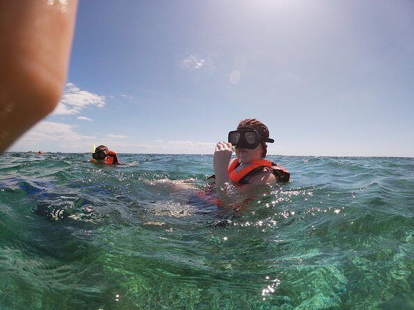 Reef Snorkel In National Park In Puerto Morelos With Lunch And Transportation - Puerto Morelos National Reef Park: the reef wall you came for