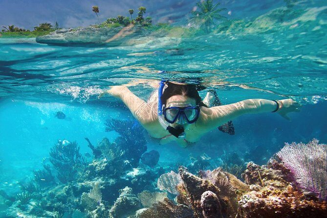 Reef Snorkel In National Park In Puerto Morelos With Lunch And Transportation - Snorkeling time in the reef: what you’re signing up for
