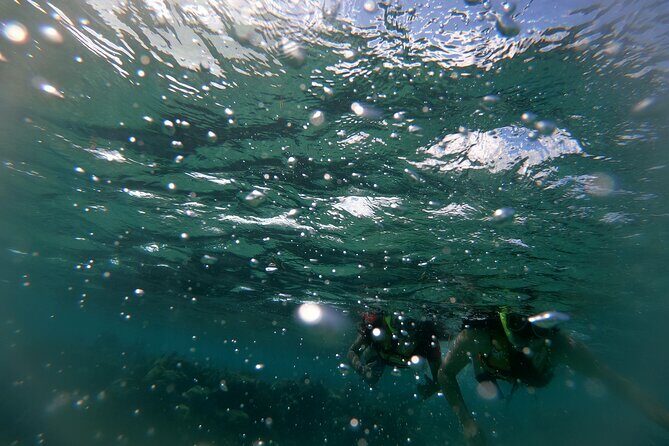 Reef Snorkel In National Park In Puerto Morelos With Lunch And Transportation - The boat ride and the guide approach: spotting sea life without stress