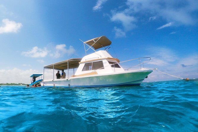 Reef Snorkeling in National Park from Cancun with Beachside Lunch - Stop 1: National Reef Park Snorkeling on the Great Maya Reef