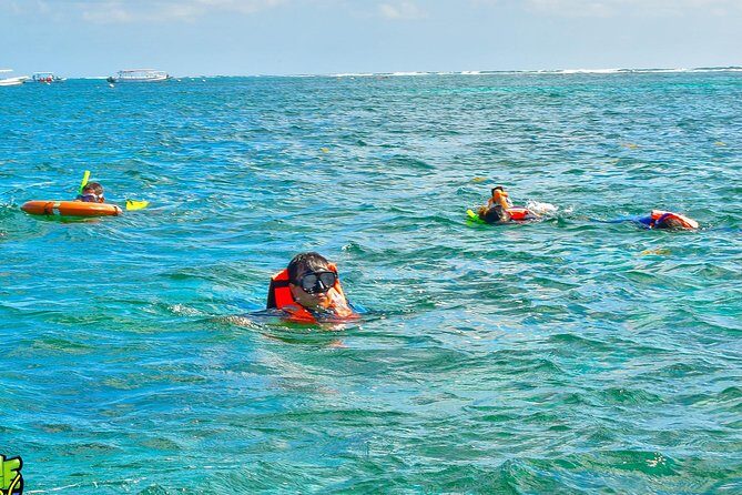 Reef Snorkeling in National Park from Cancun with Beachside Lunch - Tequila Tasting and Photo Sales: Fun for Some, Pressure for Others