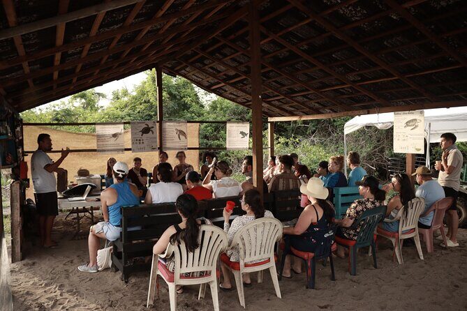 Release of Sea Turtles in Camp Tortuguero - Who this tour is best for (and who might want a different option)