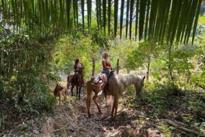 Rey Spearo - Enchanting And Romantic Custom Created Tours - How the 6-hour day flows from a 9:00am start