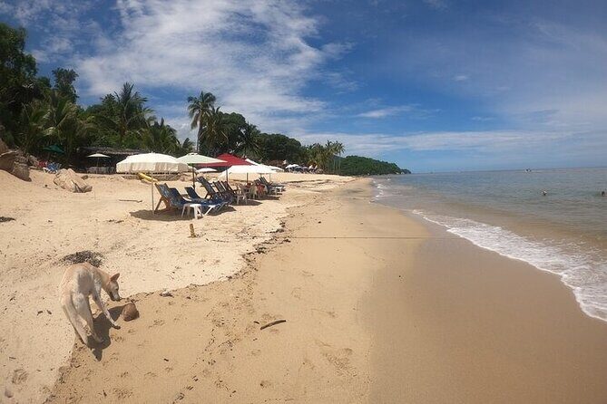 Rey Spearo - Enchanting And Romantic Custom Created Tours - What to bring so the day stays easy