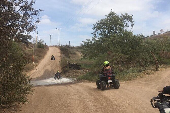 Ride in quad bikes mountains,& paintball/pink tacos - Price and value: why $69 can work (or not)