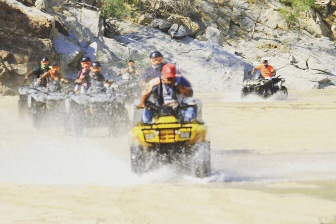 Ride through Bajas wild beauty—from desert trails to ocean views. - Key Highlights You’ll Care About