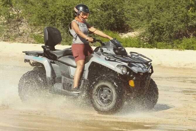 Ride through Bajas wild beauty—from desert trails to ocean views. - Stop 2: Desert Scenery and Baja California Sur Views