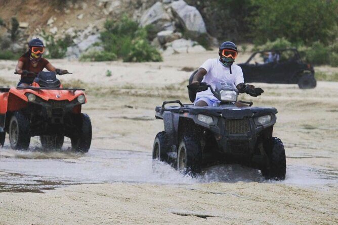 Ride through Bajas wild beauty—from desert trails to ocean views. - The Guide Makes or Breaks the Ride
