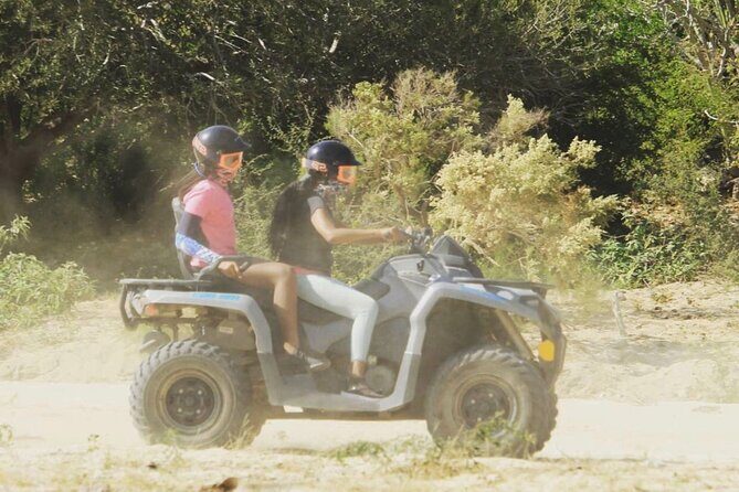 Ride through Bajas wild beauty—from desert trails to ocean views. - Price and What You’re Really Paying For