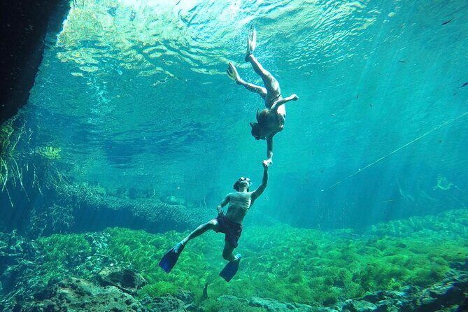 Ride to a life changing cenotes tour - The 4-Hour Plan: What You’ll Do, in Plain Order