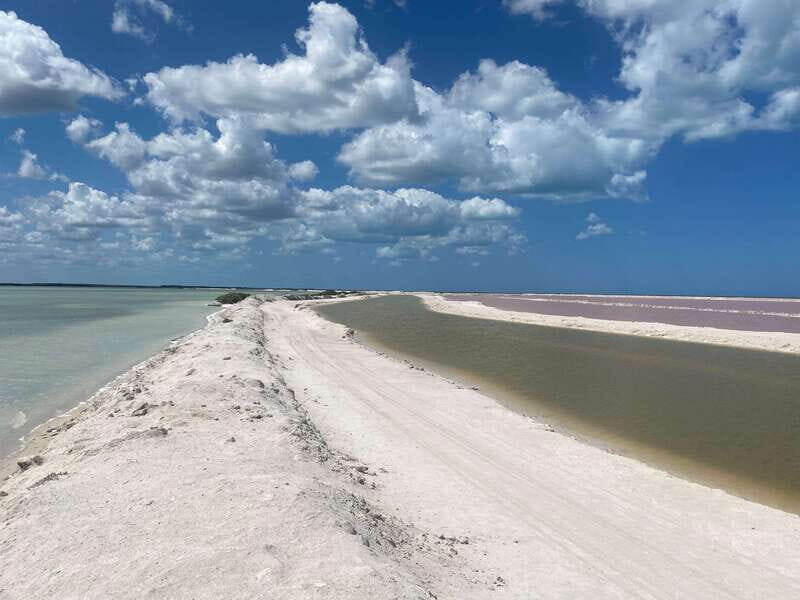 Rio Lagartos and Las Coloradas: EcoSafari Flamingo classic - Where you meet: Macumba restaurant and finding Captain Brandon