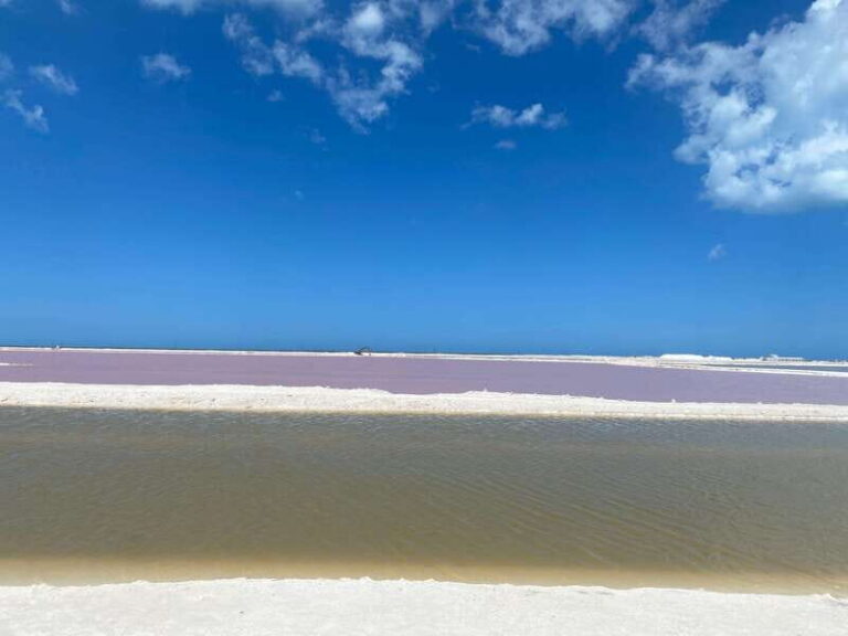 Rio Lagartos and Las Coloradas: EcoSafari Flamingo classic - Price and value: private-group pricing that adds up