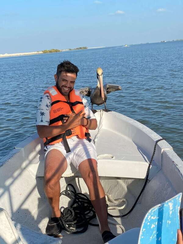 Rio Lagartos and Las Coloradas: EcoSafari Flamingo classic - Flamingo time: seeing Caribbean pink flamingos feed