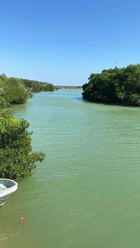 Rio Lagartos and Las Coloradas: Safari Flamingo Luxury - Key Things That Make This Tour Worth Your Time