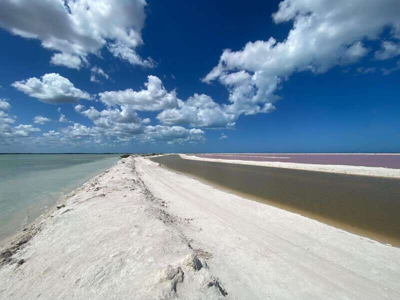 Rio Lagartos and Las Coloradas: Safari Flamingo Luxury - Where You Meet (and the One Detail That Saves Confusion)