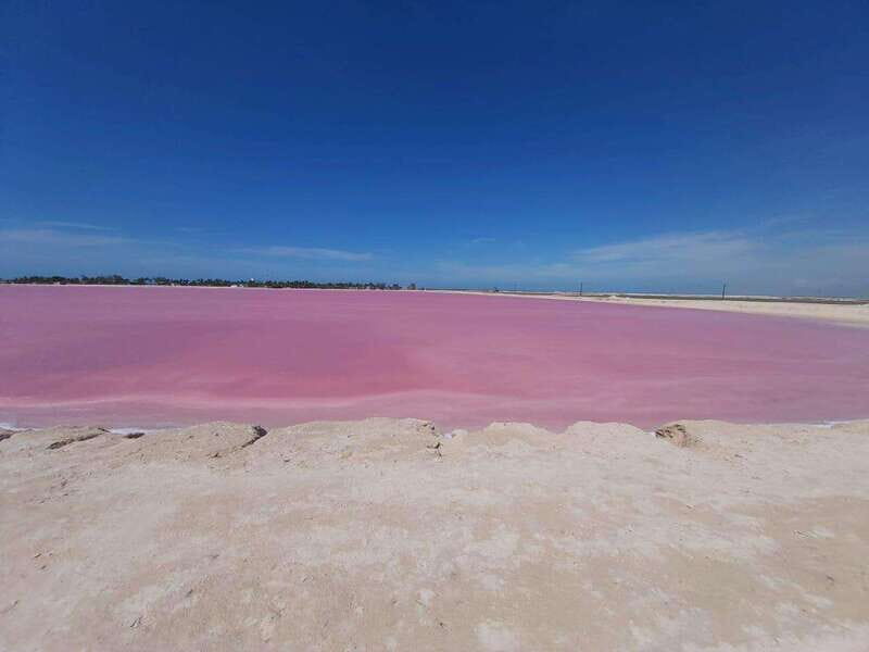 Rio Lagartos and Las Coloradas: Safari Flamingo Luxury - Private Río Lagartos Safari: What You Really Get in 3 Hours