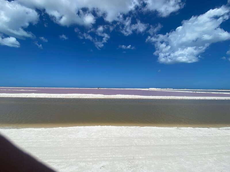 Río Lagartos and Las Coloradas: Wildlife Natural Experience - Mangroves-to-beach finale: ending with an unspoiled swim