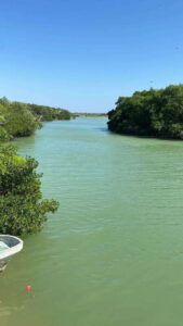 Río Lagartos and Las Coloradas: Wildlife Natural Experience - Meeting up at Macumba and choosing the right start time