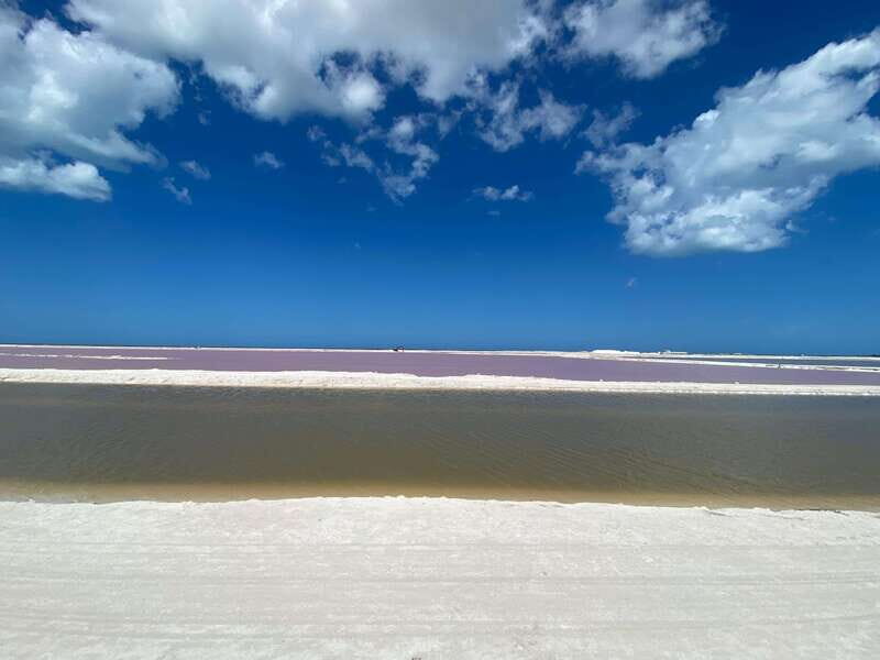 Río Lagartos and Las Coloradas: Wildlife Natural Experience - Río Lagartos to Las Coloradas: what makes this day feel different