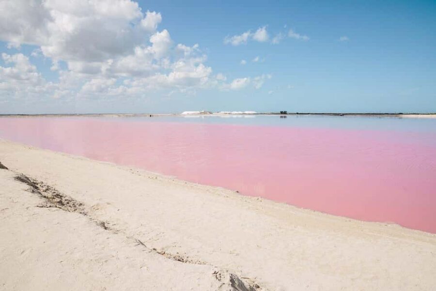 Río Lagartos and Las Coloradas: Wildlife Natural Experience - The private boat setup: your “watching platform”