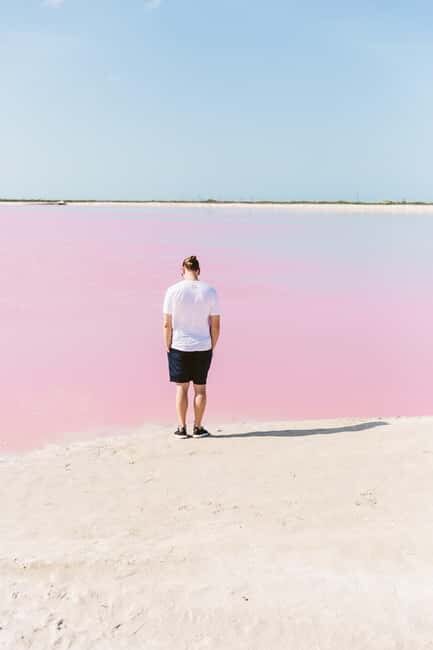 Río Lagartos and Las Coloradas: Wildlife Natural Experience - Mangroves and bird watching: how the guide turns a stop into a lesson