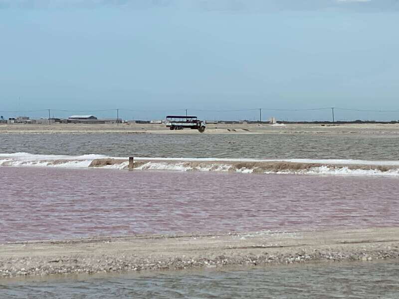 Río Lagartos and Las Coloradas: Wildlife Natural Experience - Las Coloradas pink lagoons: what you’re really paying for