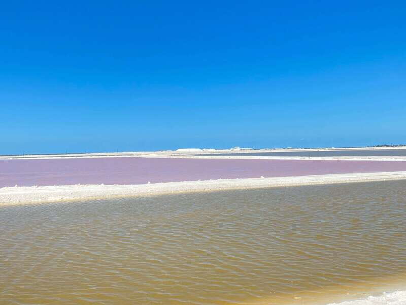 Río Lagartos and Las Coloradas: Wildlife Natural Experience - Cenote swim, fish spa, and Mayan clay bath: the “hands-on” portion