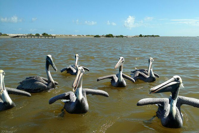 Rio Lagartos guided boat tour- Ek Balam from Valladolid - Guides and pacing: why the small group format matters