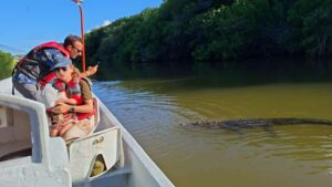 Río Lagartos Premium Tour – Up to 6 People - Meeting at Maleconcito and hooking up with Martin Aguiñaga