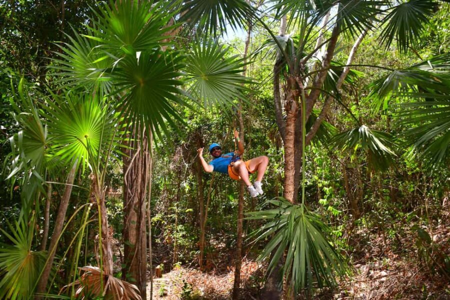 Rio Secreto Nature Reserve: Bicycle, Rappel & Ziplines Tour - Who Should Book (and Who Should Skip) Rio Secreto