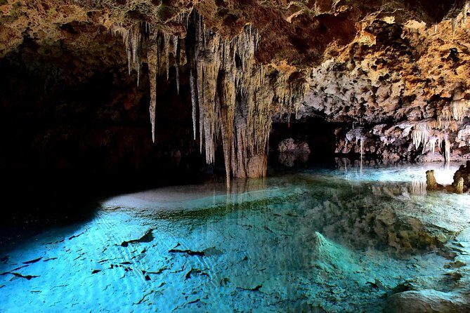 Rio Secreto Skip-the-Line Admission Ticket - Inside Rio Secreto: the glass-museum feeling, plus Mayan flavor