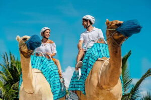 Riviera Maya: Camel Caravan Expedition and Beach Club Access - Meeting the Camel: What the Ride Feels Like on Maroma Beach