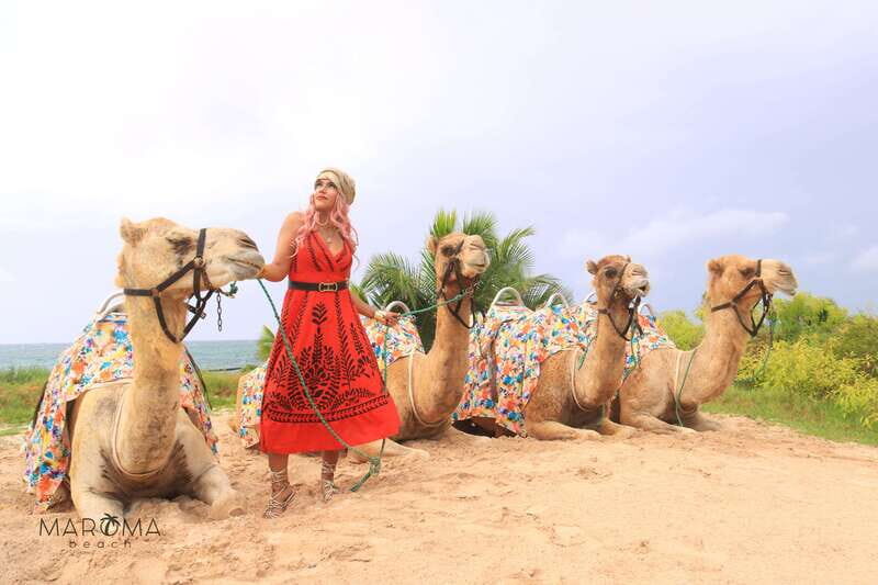 Riviera Maya: Camel Caravan Expedition and Beach Club Access - Price and Value: Is $168 Worth It?