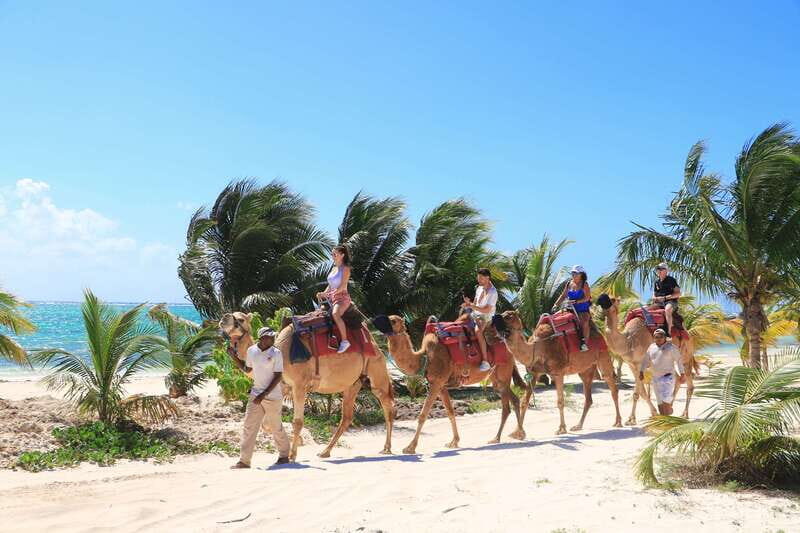 Riviera Maya: Camel Caravan Expedition and Beach Club Access - What to Bring (and What to Wear) for a Smooth Camel Ride