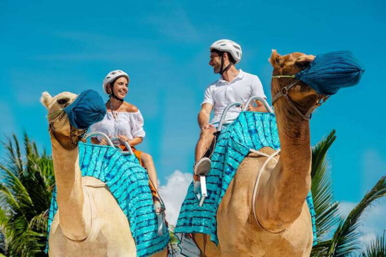Riviera Maya: Camel Caravan Expedition and Beach Club Access - Meeting the Camel: What the Ride Feels Like on Maroma Beach