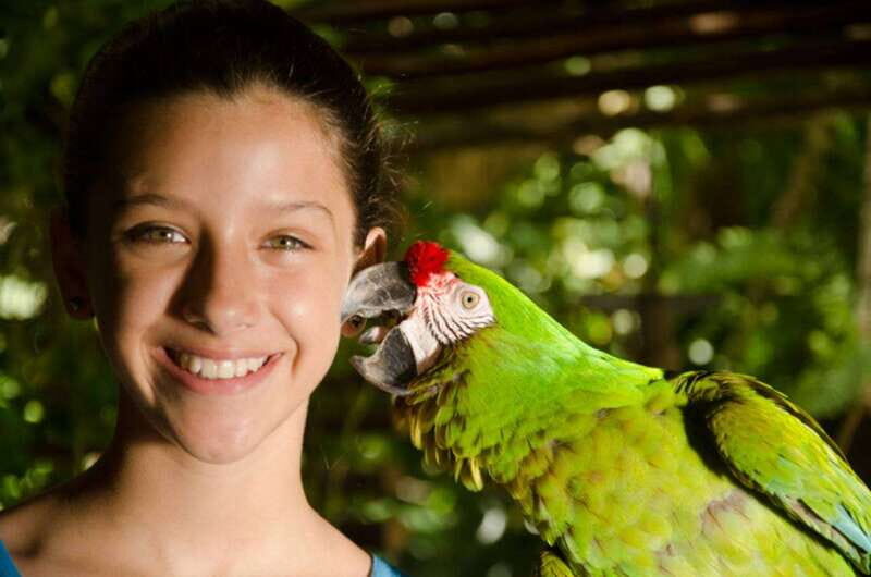 Riviera Maya: Croco Cun Interactive Zoo Tour - Key things you’ll notice on this Croco Cun tour