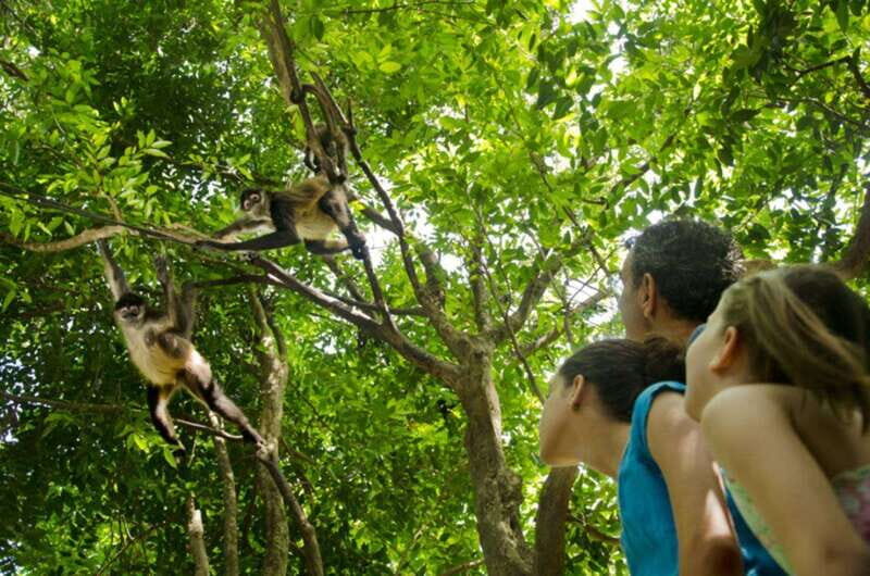 Riviera Maya: Croco Cun Interactive Zoo Tour - Croco Cun Zoo in Riviera Maya: what you’ll actually do in 1 hour