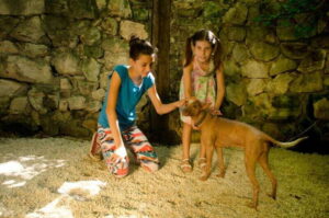 Riviera Maya: Croco Cun Interactive Zoo Tour - Check in at the main entrance and get your tour rhythm