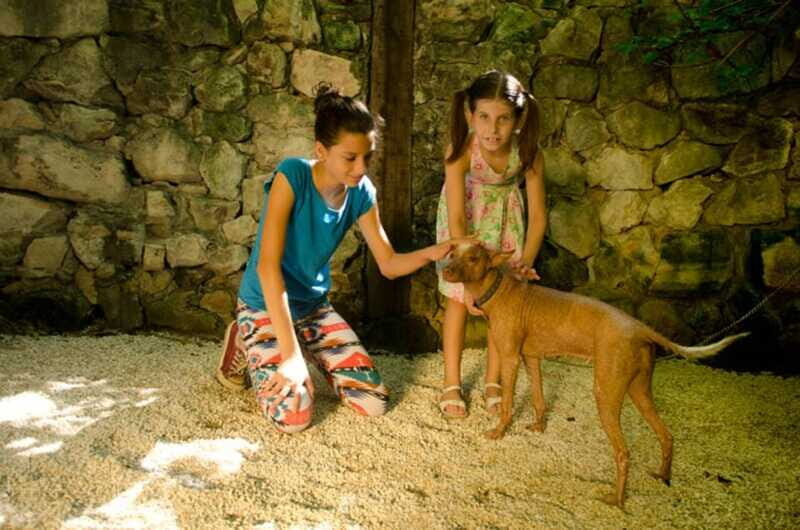 Riviera Maya: Croco Cun Interactive Zoo Tour - Who this tour fits best (and who might want a different option)