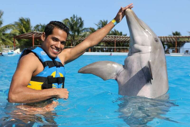 Riviera Maya: Dolphin Encounter with Beach Club Access - Key things worth knowing before you go