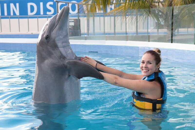 Riviera Maya: Dolphin Encounter with Beach Club Access - The price question: is $109 worth it?