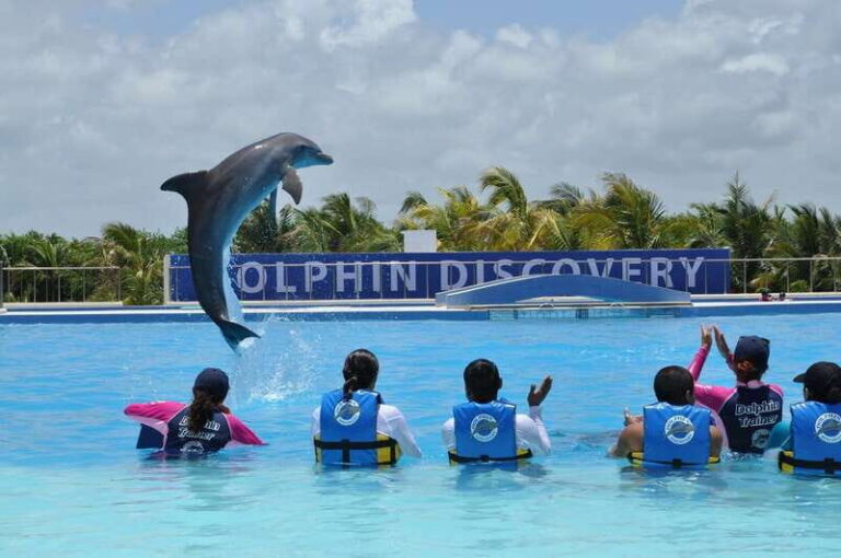 Riviera Maya: Dolphin Encounter with Beach Club Access - Marine mammal specialists: what you’re supposed to learn (and why it helps)
